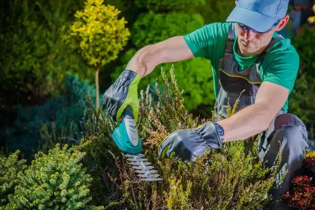 landscaping services Risingsun